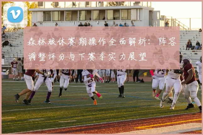 森林狼休赛期操作全面解析:阵容调整评分与下赛季实力展望