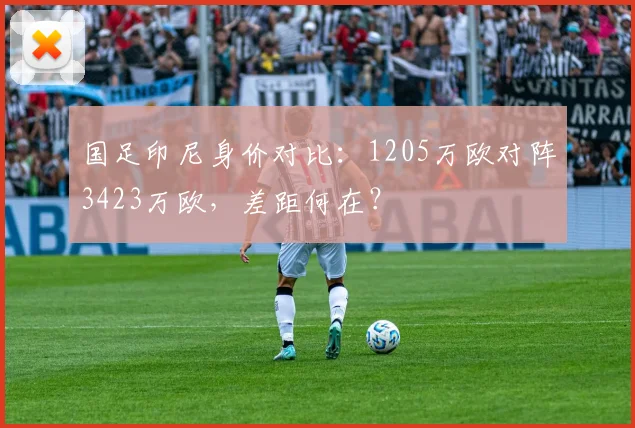 国足印尼身价对比：1205万欧对阵3423万欧，差距何在？
